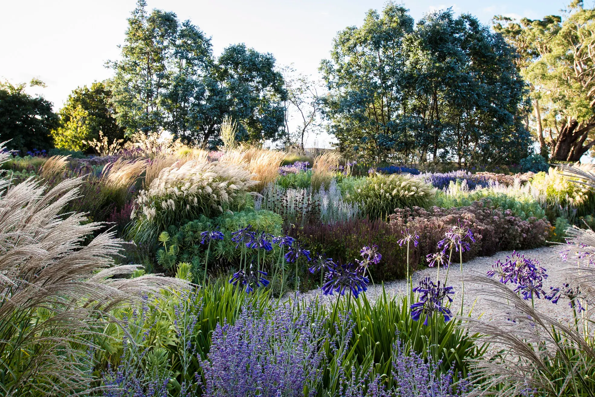 Après — jardin de Marc & Claire