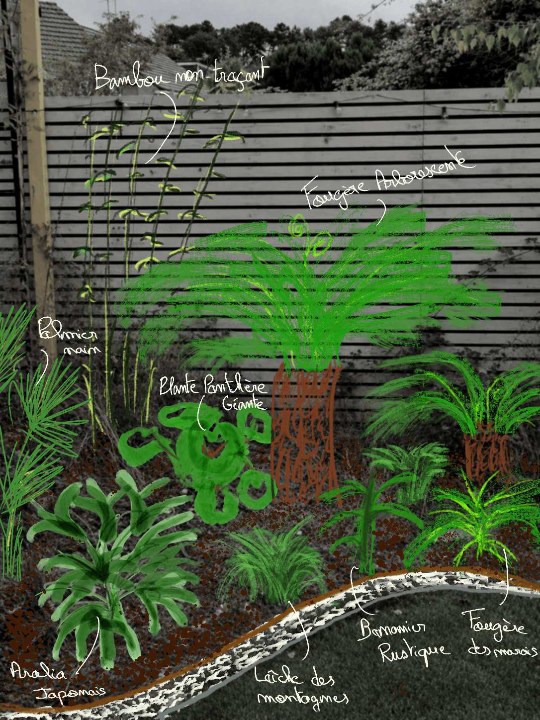 Projection annotée à la main sur photo du jardin